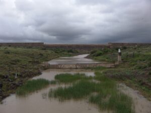 Levels of dams in the Free State satisfactory