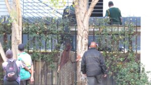 Teen recovers after great fall