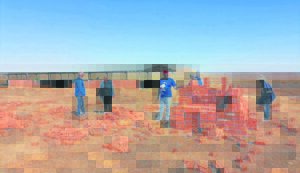 Initiative left in lurch