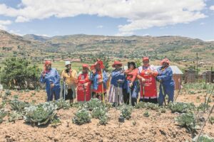 Fruitful gains yielded