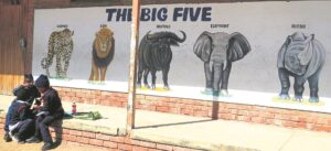 Basking in the magnificence of rich, African wildlife legacy