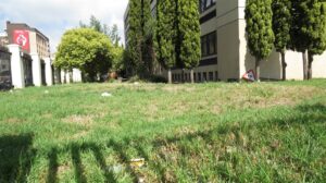 Condition is now crystal clear