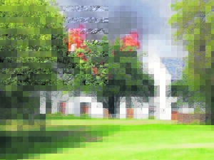 Officials probing fire