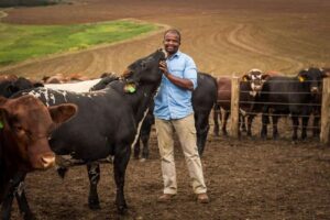 Livestock farmers invited to benefit