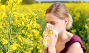 Winter allergies can be reduced