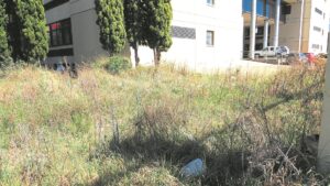 Becoming the face of the Department of (ill) Health