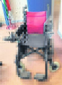 Progress made in leaps and bounds