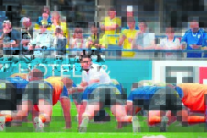 Cheetahs bound to shift gears