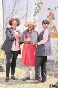 Trees a long-term support