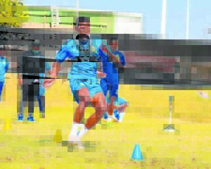 Players can hone skills