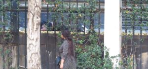 Teenager still hospitalised after falling from Bloemfontein mall’s rooftop