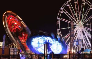 Trophy winners at Bloem Show