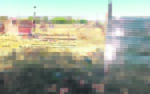 Metro’s sports fields under siege