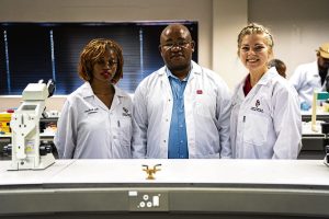 True usefulness of AI tool studied