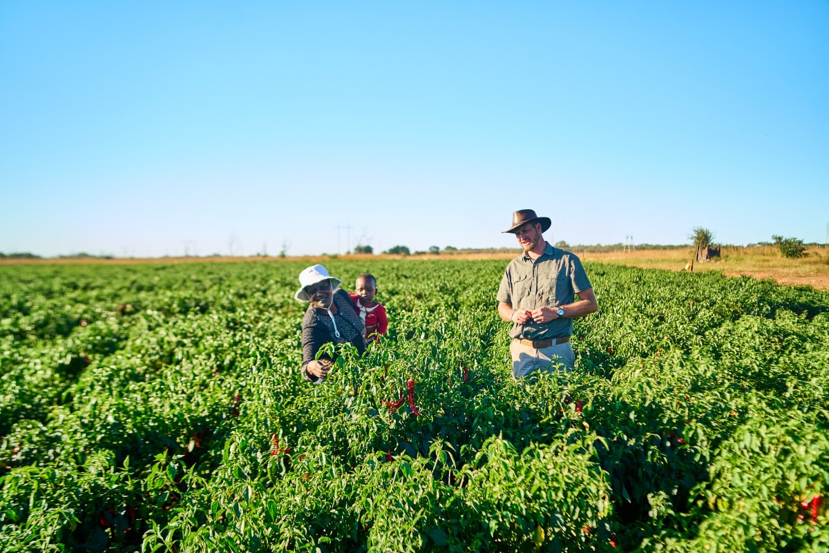 Miriam Mupambawashe (L) a farmer who leases a portion of land on a contract basis to Daniel Burger (R), talk while standing in a field near Sherwood Park Estates Farm in Kwekwe, Midlands Province, Zimbabwe.