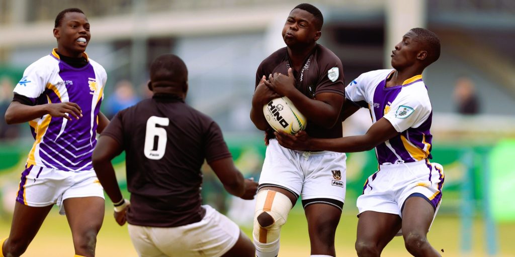The Griffons had too much punch for Border in the second round of the Grant Khomo Week.