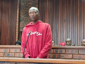 Family killed with spade: Court denies murder suspect bail