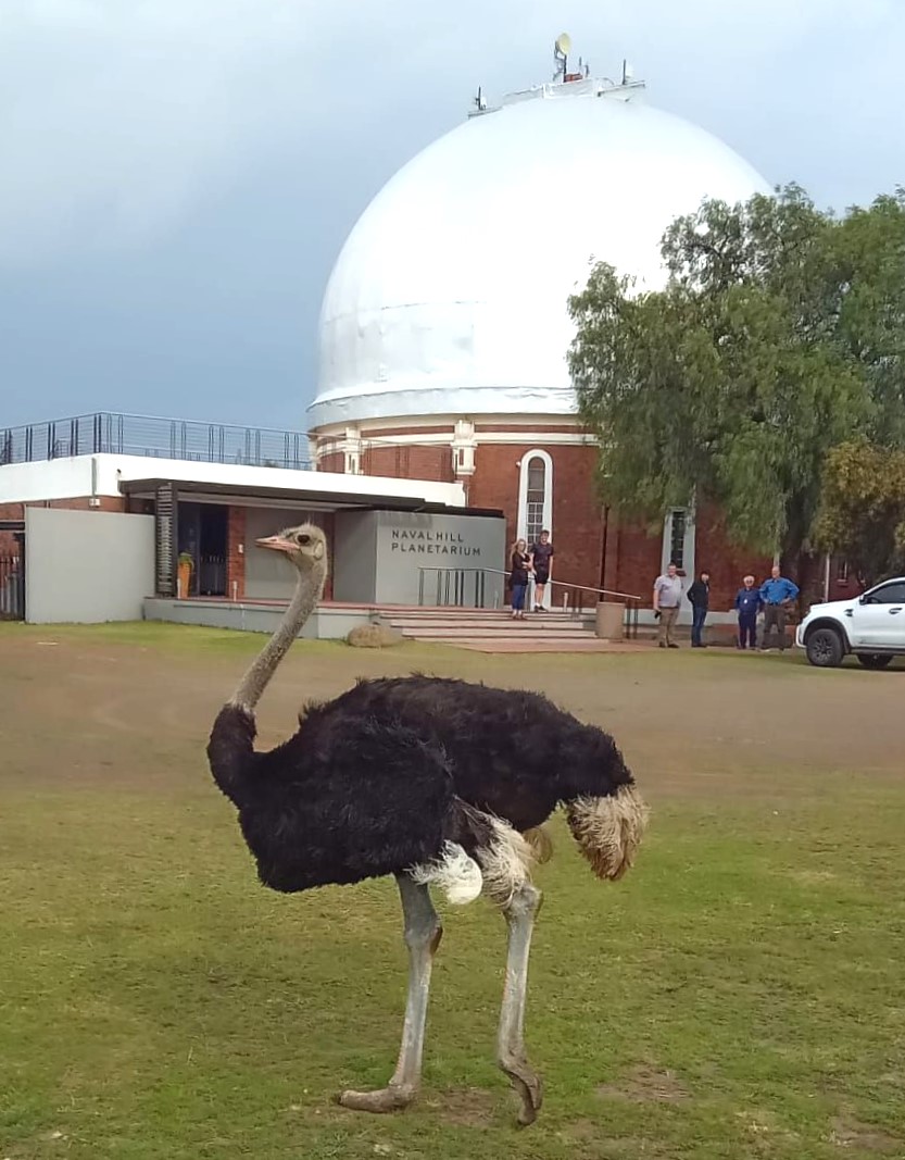 Naval Hill implements biosecurity measures to combat foot and mouth disease risk