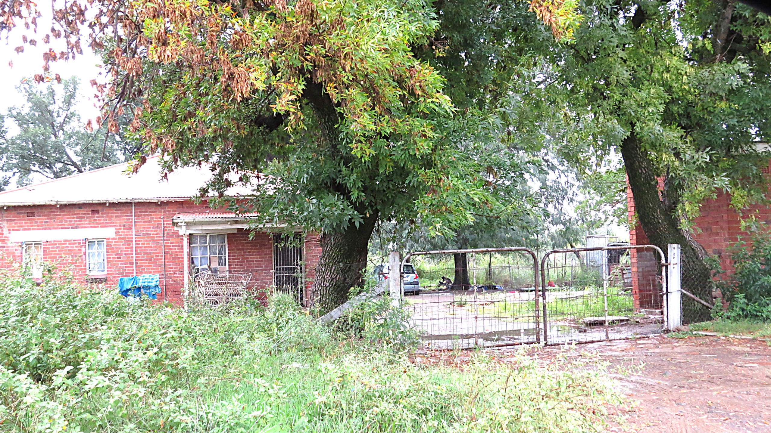 No arrest after a two-year-old boy was fatally attacked by a dog.