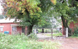 Parents grieve the loss of their two-year-old after dog attack