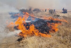 Almal werk saam om brand te blus