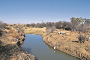 Spruitwater grillerig