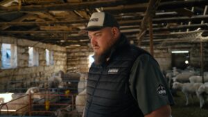 Lamb chops from farm to shelve tells story of family farmers