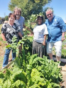Public garden for everyone to plant or harvest