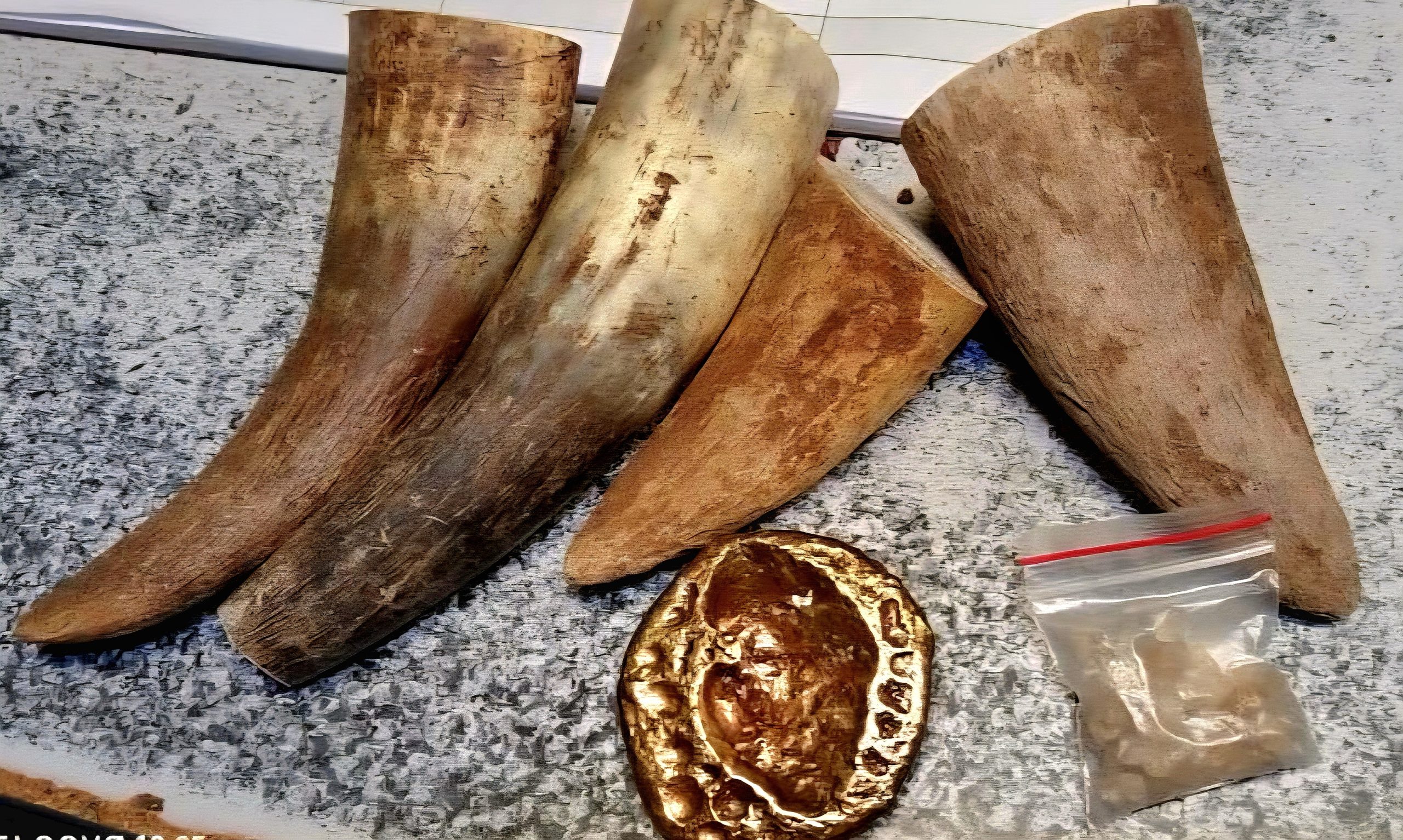 The Ficksburg police intercepted a vehicle and uncovered a suspicious parcel with rhino horns, unpolished diamonds and gold. PHOTO: Supplied
