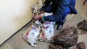 Organised copper syndicate wreaking havoc in Mangaung