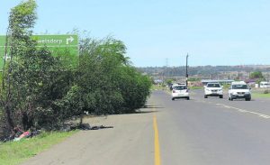 Roads take their toll