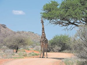 Park tariffs raised