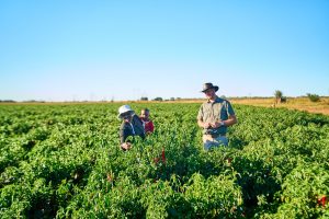 Zimbabwe’s farmers push on as land grab compensation flounders