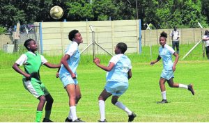 Teams climb promotion ladder
