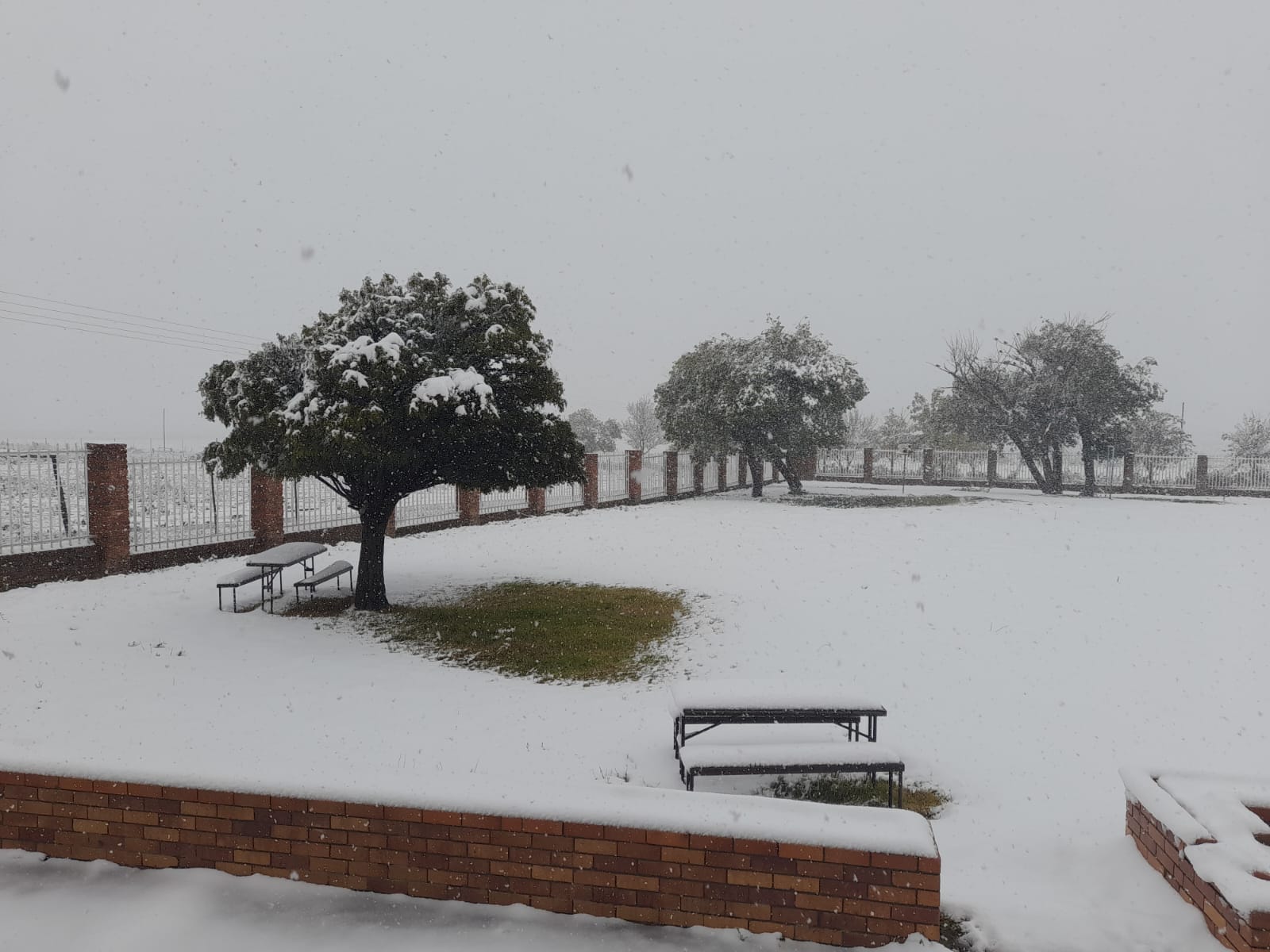 Snow transforms Noupoort into a winter wonderland amid severe weather warnings
