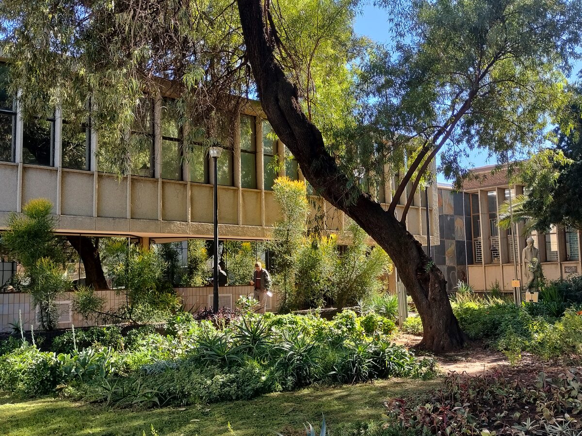 Die pragtige inheemse tuin wat nou by die Alelaide Tambo-biblioteek spog.