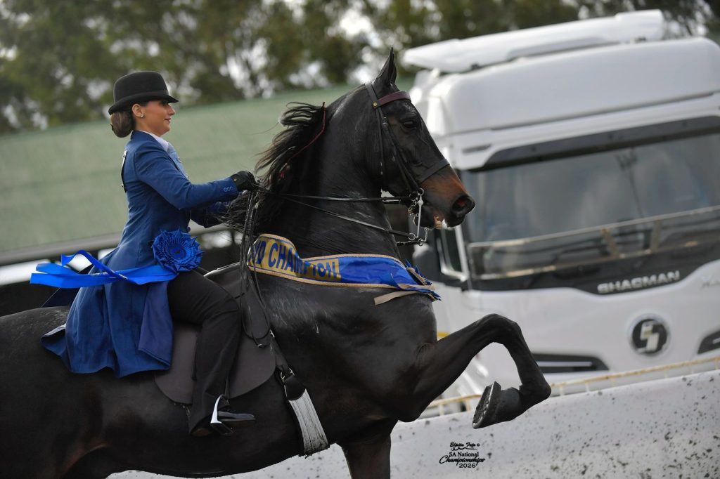 Kiara Wolmarans during the 2026 National Saddlebred and World Open Air Championships at the Bloem Show. 