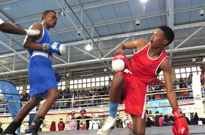 Boxers ready to trade leather in provincial championship