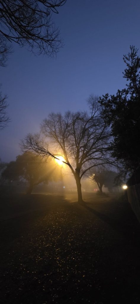 Tim Taylor het hierdie foto van Gladstoneweg in Bayswater geneem.