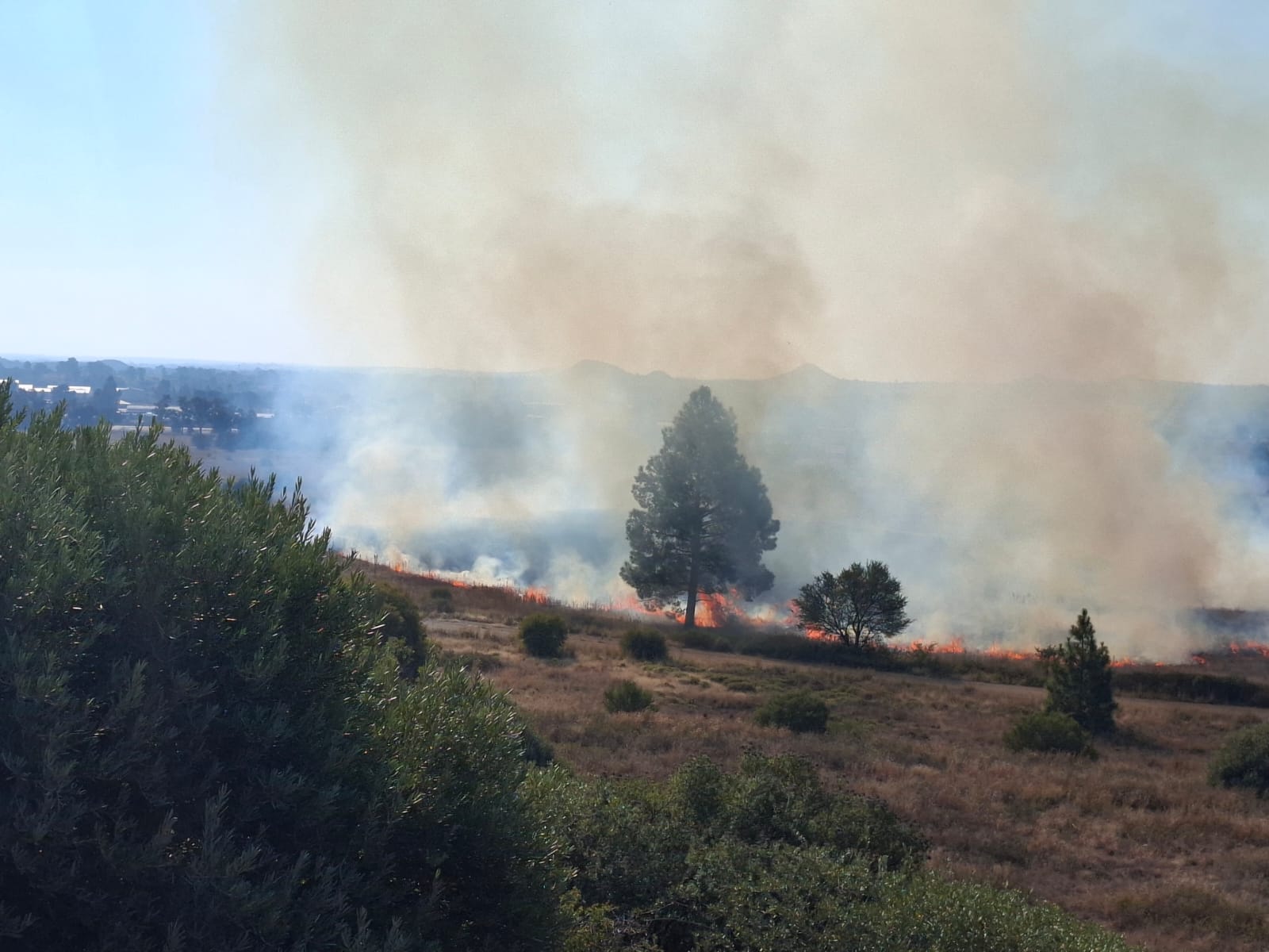 Brand by Brandkop, Pellissier.