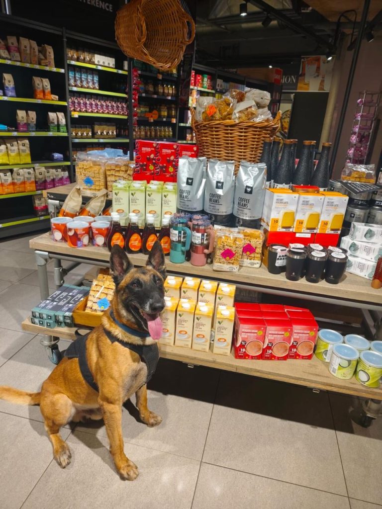 K9 sniffer dogs formed part of increased security measures at Woolworths stores nationwide.