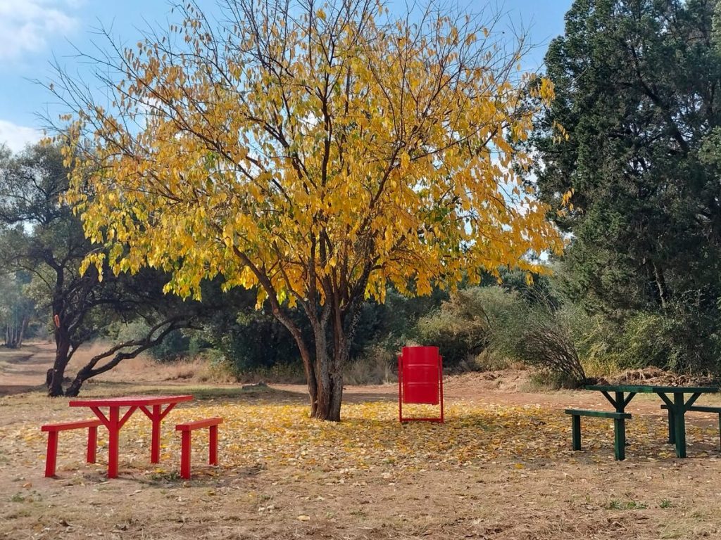 Tables and benches at Happy Valley was recently painted by Forklift Truck OFS. 