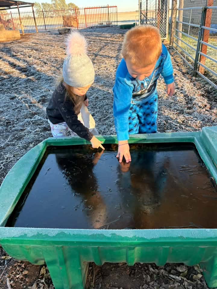 Die bak water was ook vanoggend gevries. FOTO: Marli Janse van Rensbrug