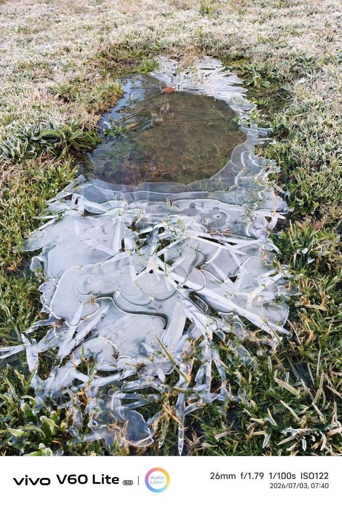 Hannelie Miller sê hierdie waterpoel by die Tempe lughawe in Groenvlei maak die mooiste patrone.