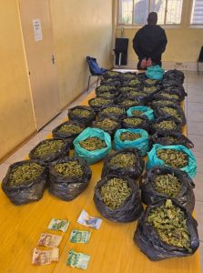 Police seize illicit drugs worth thousands during operation