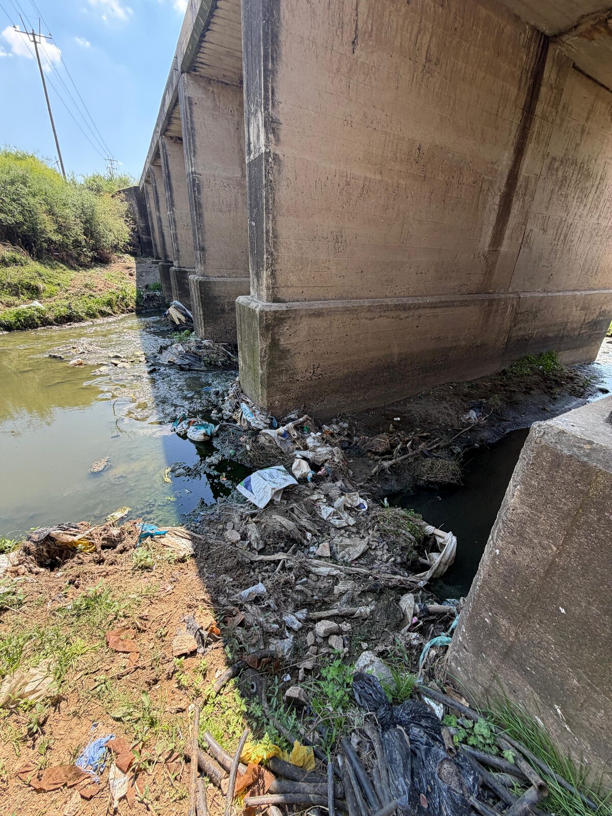 The water in the Renosterspruit downstream from the Sterkwater Waste Water Plant.