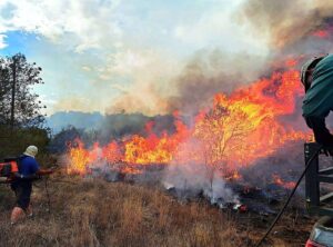 Organisasies in Bloemfontein vat hande om brande te beveg