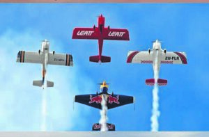 Birds take to the sky