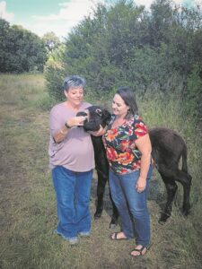 Winkel vier uitbreiding plesierig