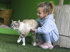 Maak só seker troeteldiere bly warm in die winter